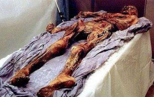 世界上最古老的古尸，冰人奥茨冰封5300年不腐