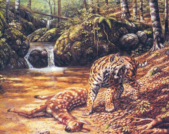 远古猫科动物剑齿虎为什么会灭绝？真是“成也剑齿，败也剑齿”