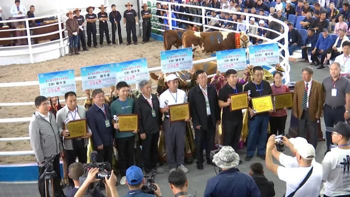 【头条】全国第二届种公牛拍卖会在乌拉盖管理区举行