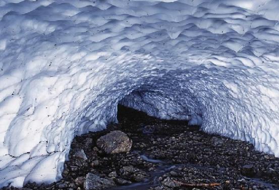 极地发现1.7万年历史“U盘”，却被意外损毁，损失难以估量