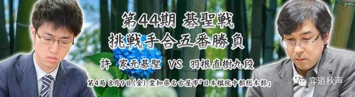 许家元再下一城顽强扳平比分 日本碁圣战会出现新的大逆转吗？