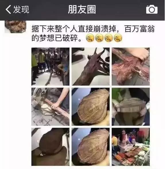 去海南旅游花18万赌黄花梨，开料后