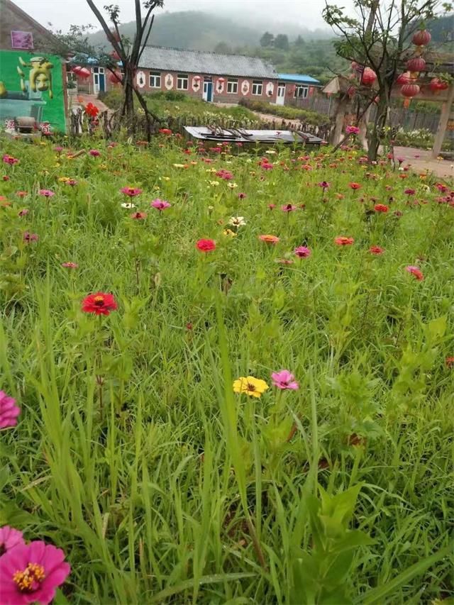 辽宁大连冰峪沟姜家大院，亲手采摘带有乡土气息的蔬菜水果榛子等