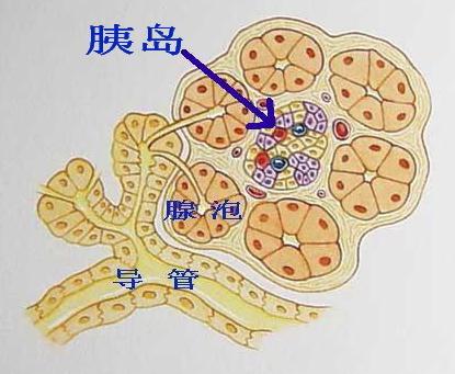 糖尿病危害到底有多大？看完这五大危害抓紧控糖吧