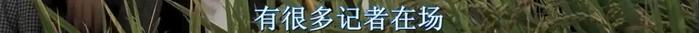 最触目惊心的真事改编，16年后依然经典