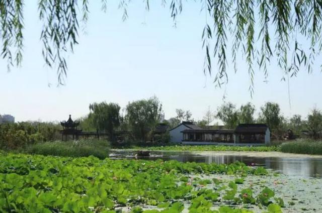 比水上公园还要大！天津又一座古典风格公园将于国庆节与大家见面