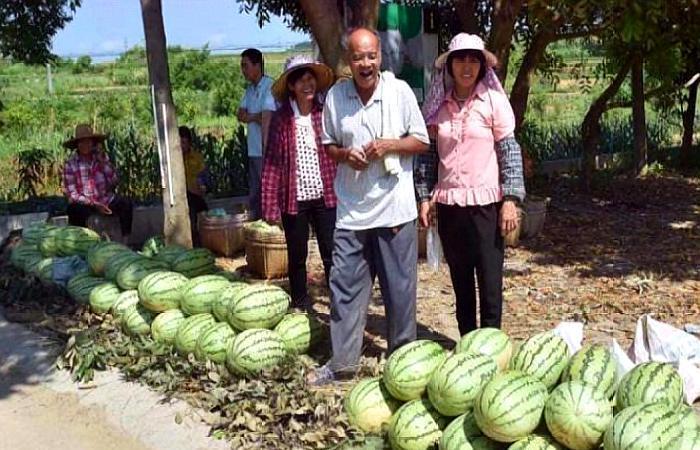 日本女孩来中国旅游，买西瓜却“遭拒”