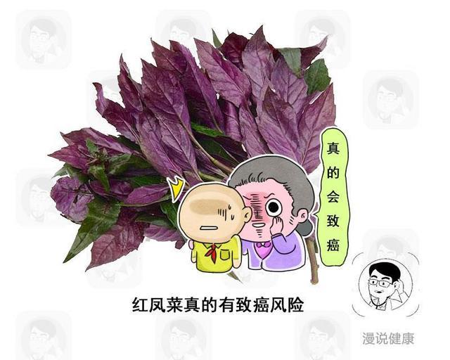 4种蔬菜被世卫组织列进“致癌名单”？医生辟谣：这2种还真不好说