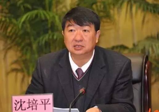 云南落马副省长沈培平3套房产被拍卖！位置曝光，成交价7510000元…