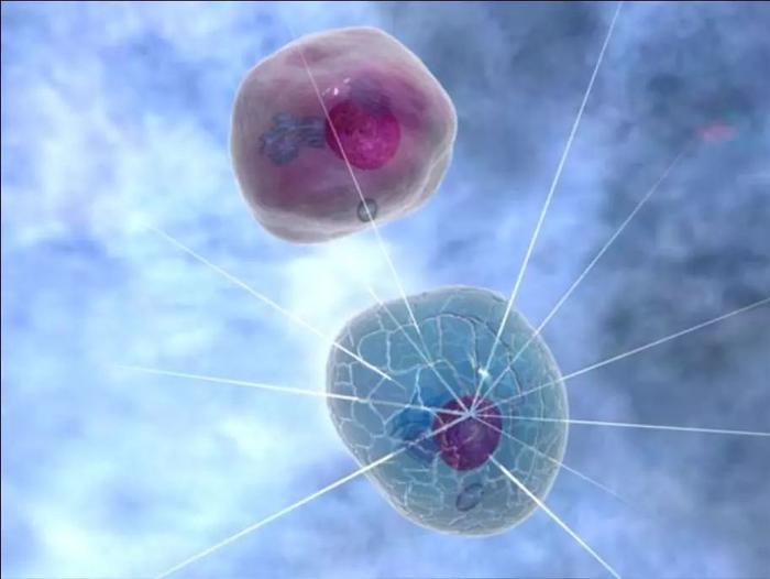 分子能量机器，揭示了细胞膜的能量产生机制！