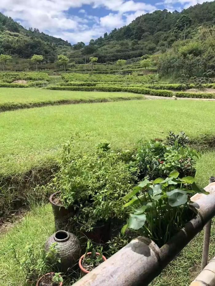 福建少儿家长会亲近自然之旅 /放牛班行走的课堂之上鼓岭