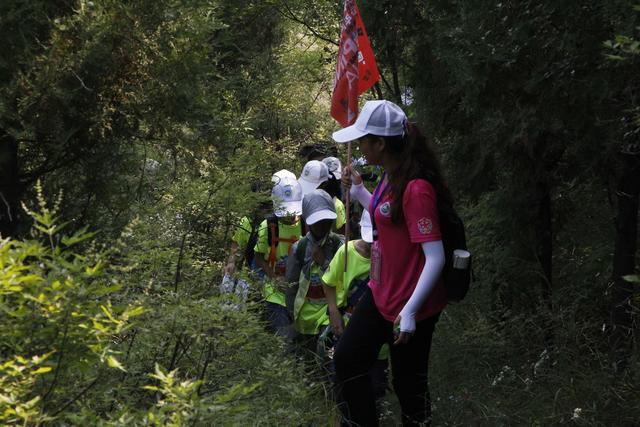 全国511名青少年齐聚嵩山 滑草射箭攀岩样样全这个夏令营不一般