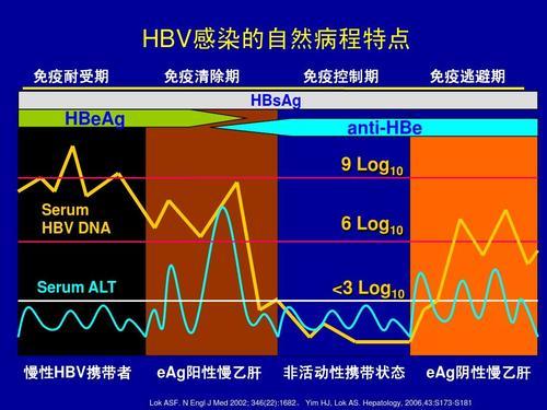 慢性乙肝携带，正确看待抗病毒治疗，长效抑制兼具一定清除作用