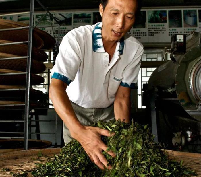 众筹丨比赛级东方美人茶，台湾茶王徐耀良亲制，珍贵稀有