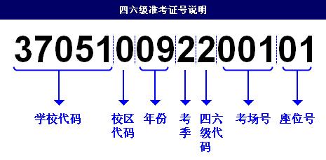 四六级查分方式有变？！别怕！昆爸锦鲤带你查分，好运加持！