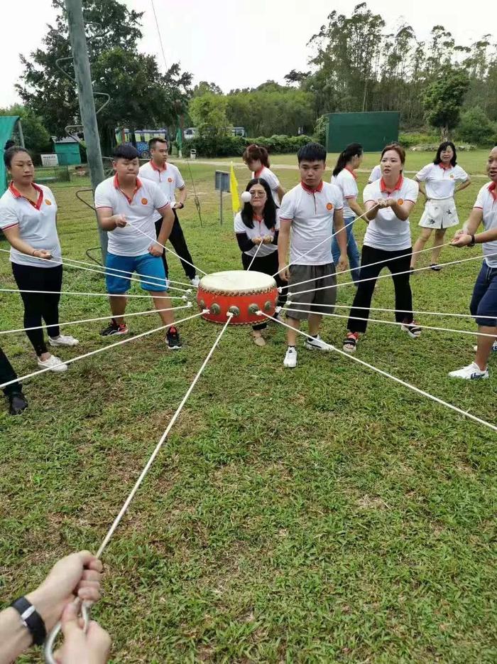 心凝聚共奋进—深圳市财税服务行业协会组织线下活动聚力协会发展