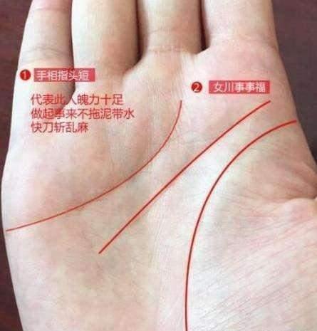 断掌川字双纹：逆天改命者的觉醒轨迹，命运的奇特安排