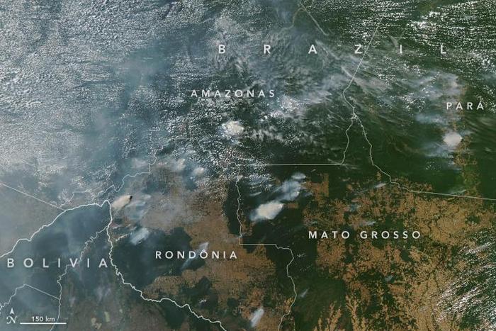 地球之肺危险了！亚马逊雨林发生7万起火灾，NASA卫星紧急对准
