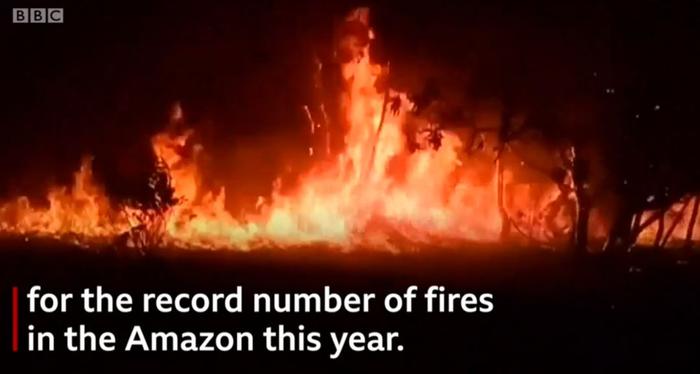 亚马逊热带雨林大火连烧三周是真的，但朋友圈疯传的消息掺了太多的假....