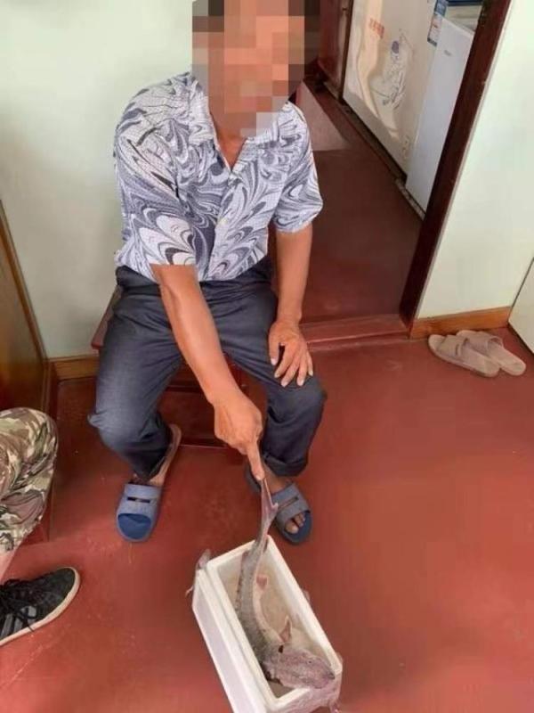 申晨间，老渔民非法捕捞中华鲟后将其放入冰箱，涉嫌非法猎捕濒危野生动物罪被刑拘