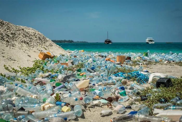 环保思考题：我们生活中的垃圾最后都去哪儿了？