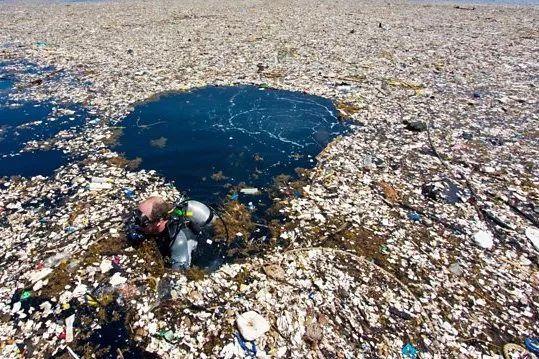 环保思考题：我们生活中的垃圾最后都去哪儿了？