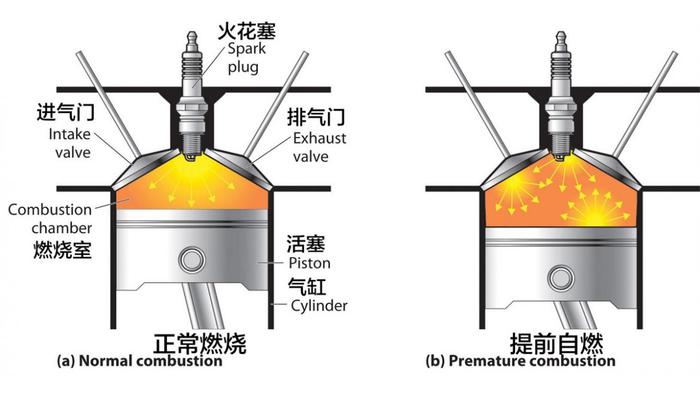 科学探究：加95号汽油比92号更有劲耐烧？多为心理错觉