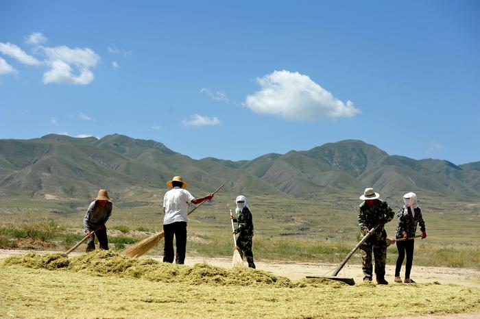 百年古城形如乌龟，城中居民牧羊农耕住矮房，生活原始却不愿迁出