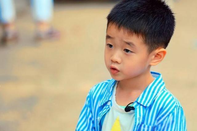 当年那个单眼皮小帅哥，如今成小小男子汉，网友：杨阳洋长大了
