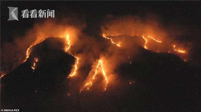 亚马孙雨林烈焰冲天 火势从太空都能看到 系人为？巴西派兵灭火