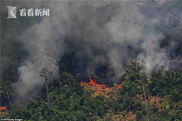 亚马孙雨林烈焰冲天 火势从太空都能看到 系人为？巴西派兵灭火