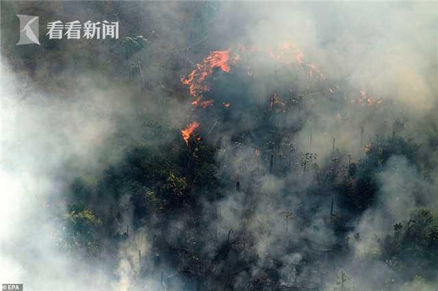 亚马孙雨林烈焰冲天 火势从太空都能看到 系人为？巴西派兵灭火