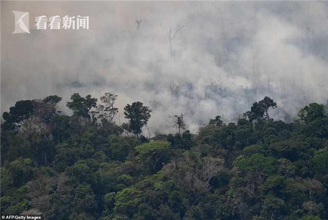 亚马孙雨林烈焰冲天 火势从太空都能看到 系人为？巴西派兵灭火