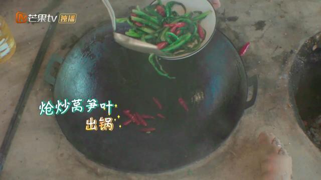 王源晒自己做的美食，似乎不比王俊凯的厨艺差了，有个菜频繁出镜