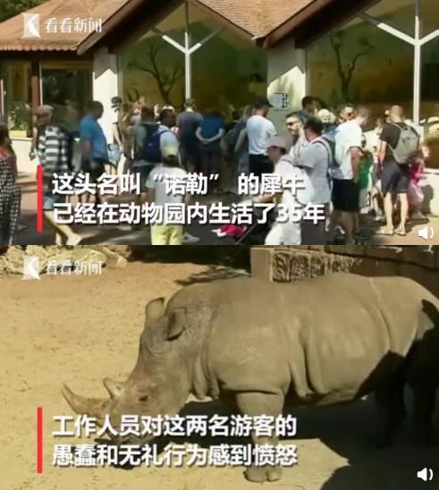 法游客在犀牛背上刻情侣名引众怒 你还见过哪些不文明游客行为