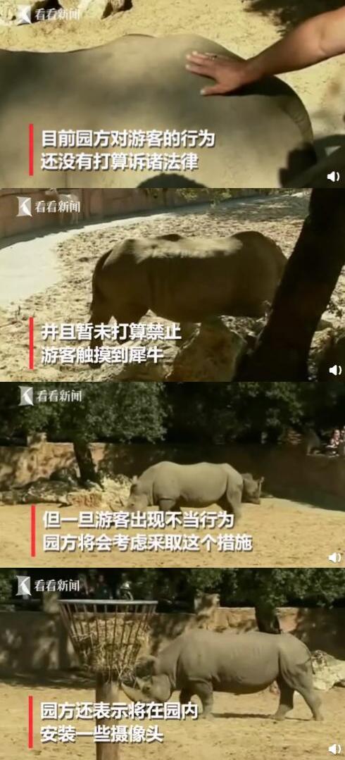 法游客在犀牛背上刻情侣名引众怒 你还见过哪些不文明游客行为