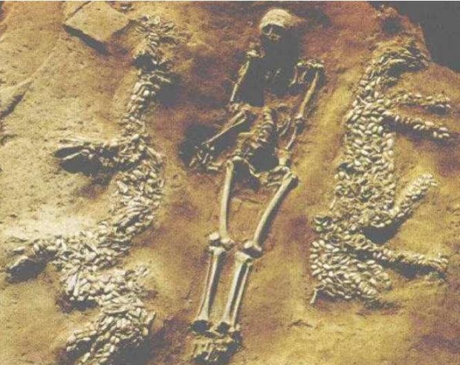我国长江真的有龙？考古队：6000年前的遗址挖出“巨龙”