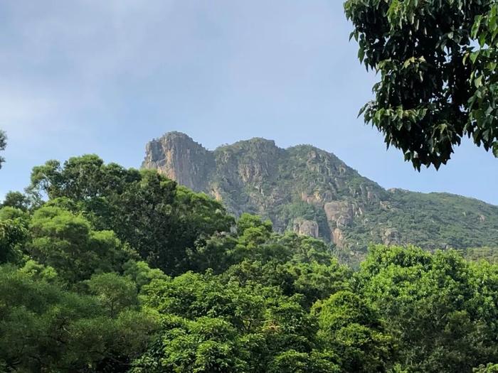 (承载着“香港精神”的狮子山,是香港本地人休闲锻炼的好去处。 范凌志摄)