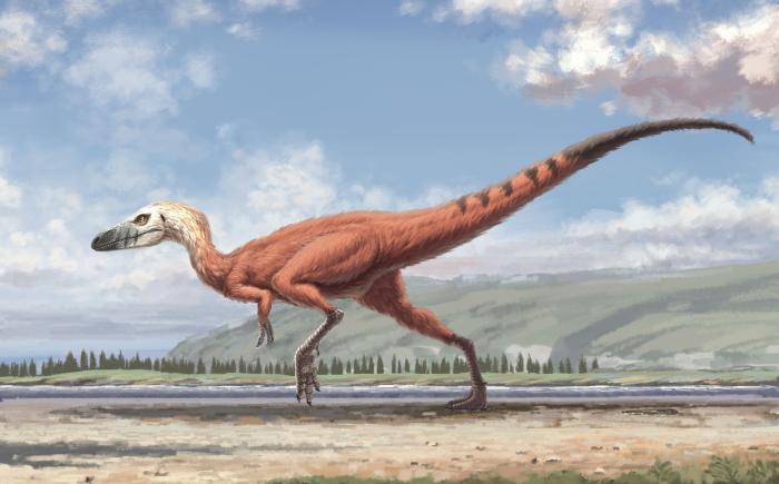 恐龙到底长啥样？人类误会了它们的长相，恐龙真面目让人失望