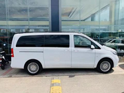 经典不变传奇维特斯