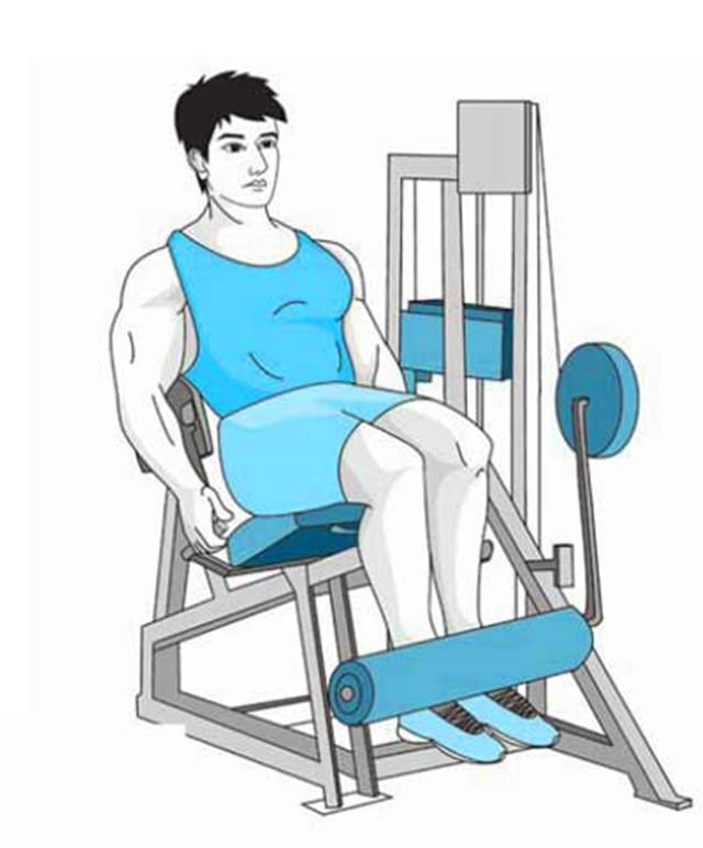 想练出强壮的大腿,那就来练这两个动作吧,让你双腿更有劲