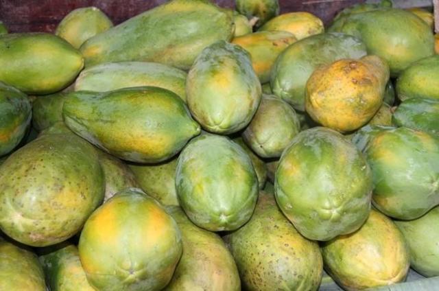 我们常吃的木瓜准确来说叫“番木瓜”，真正的中国木瓜和梨有点像