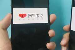 20亿美元！网易考拉最终还是住进了阿里“动物园”