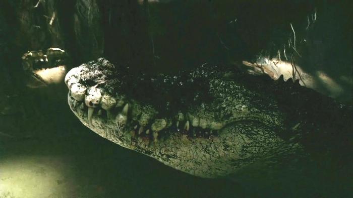 最新鳄鱼大片来袭，5部不容错过的鳄鱼电影，你都看过吗？
