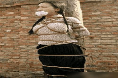 叶子楣身后的竹子，看着也有点假