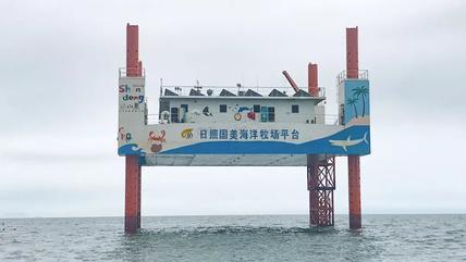 海上观光垂钓、餐饮、住宿，日照港在海上再造一座“岛”