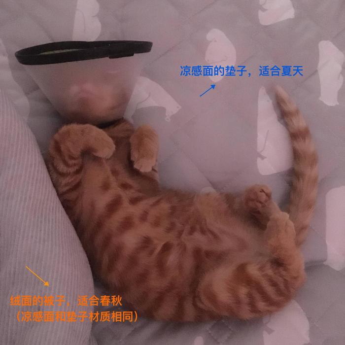 再忙也能睡个好觉，拥有好的睡眠环境不需要太贵