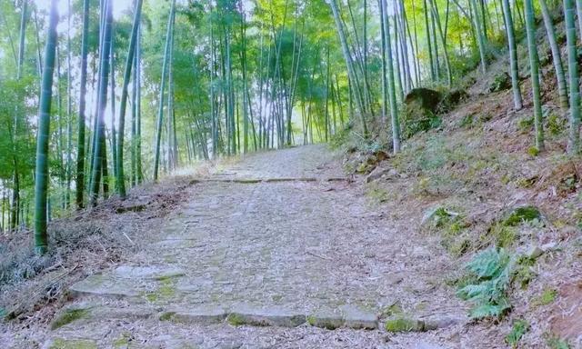 象山六处醉美古道，面对山野，感受行走的力量