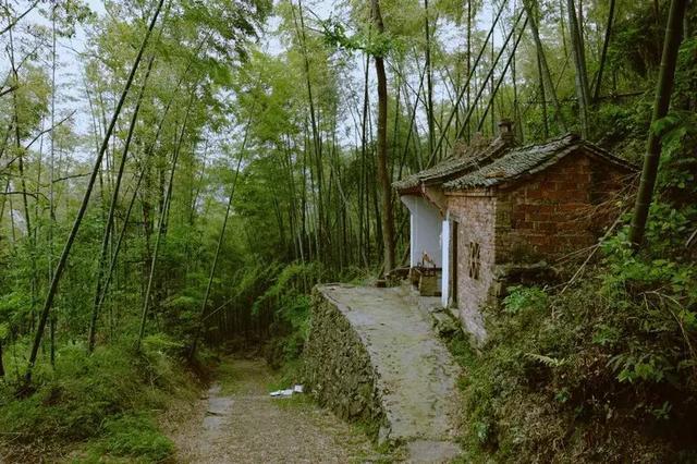 象山六处醉美古道，面对山野，感受行走的力量