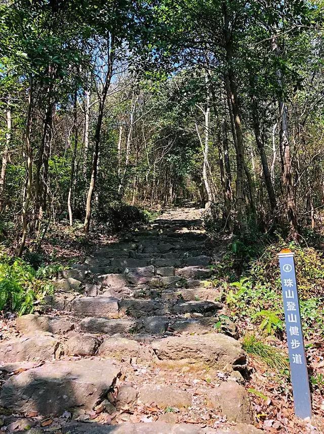 象山六处醉美古道，面对山野，感受行走的力量